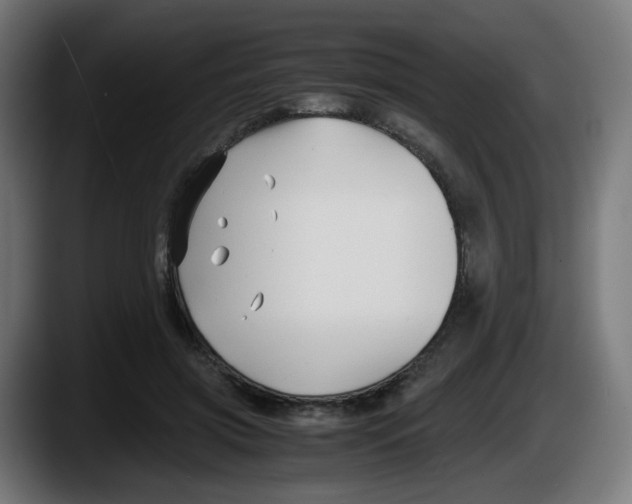 X0000087540549200705251722