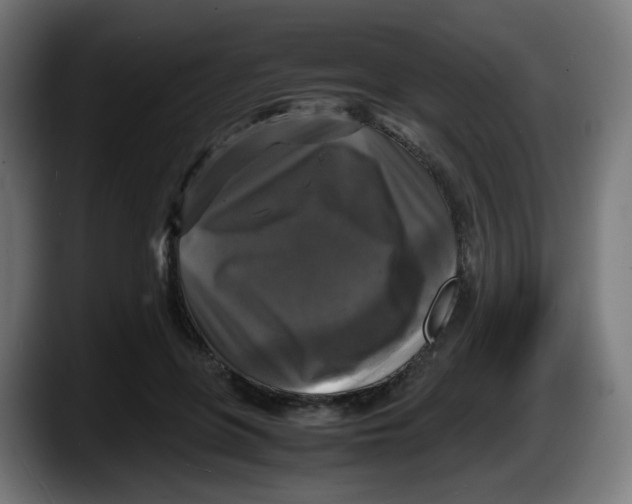 X0000087540551200705251722