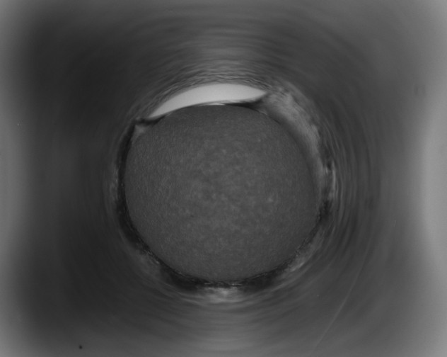 X0000087540552200705251722