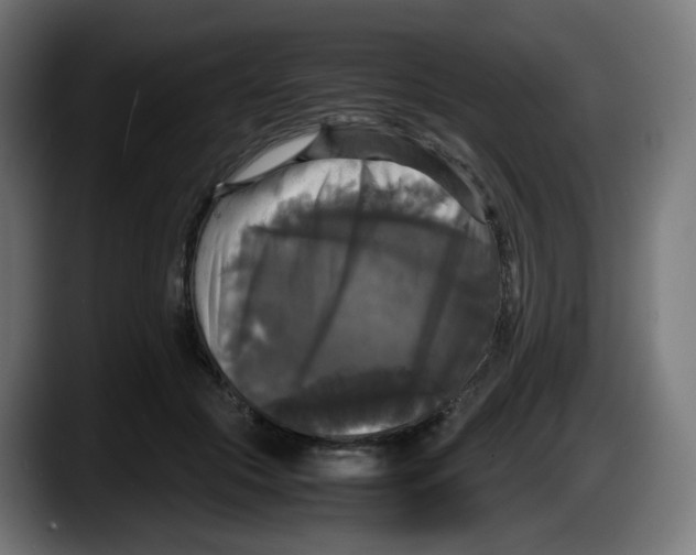 X0000087540553200705251722