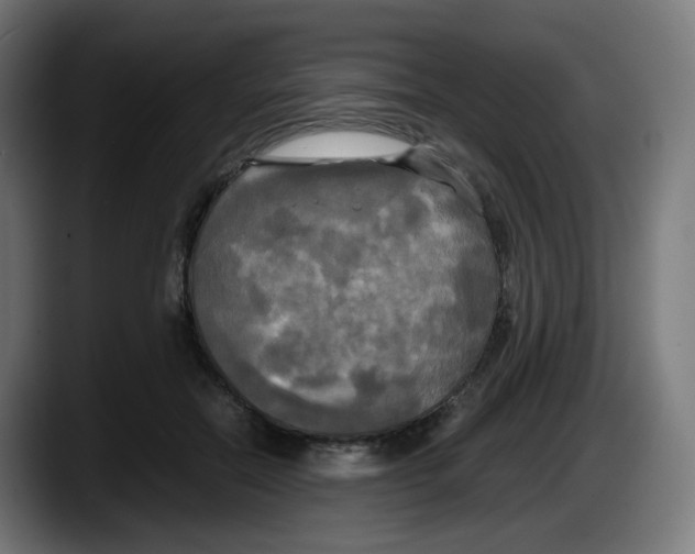 X0000087540554200705251722