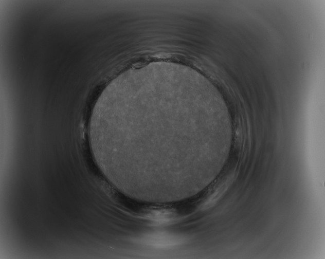 X0000087540555200705251722