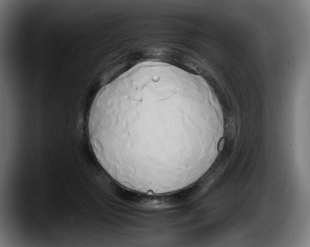 X0000087540557200705251722