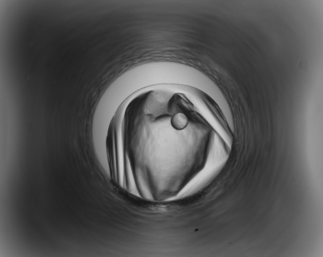 X0000087540558200705251722