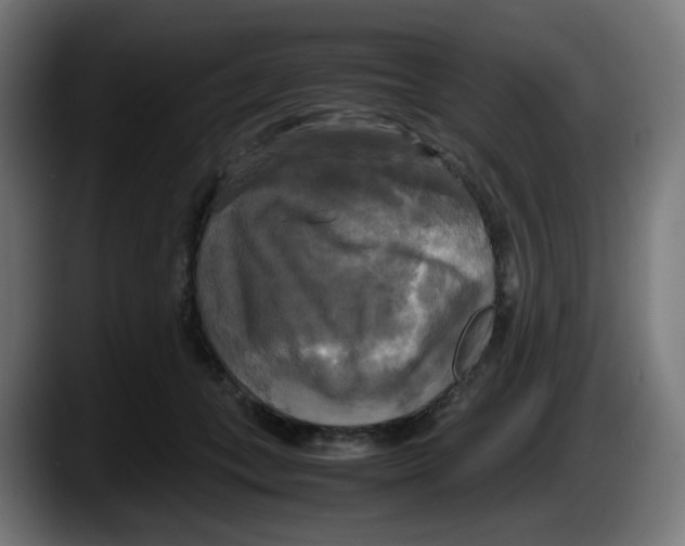 X0000087540559200705251722