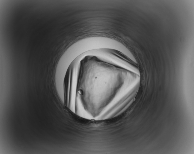 X0000087540560200705251722