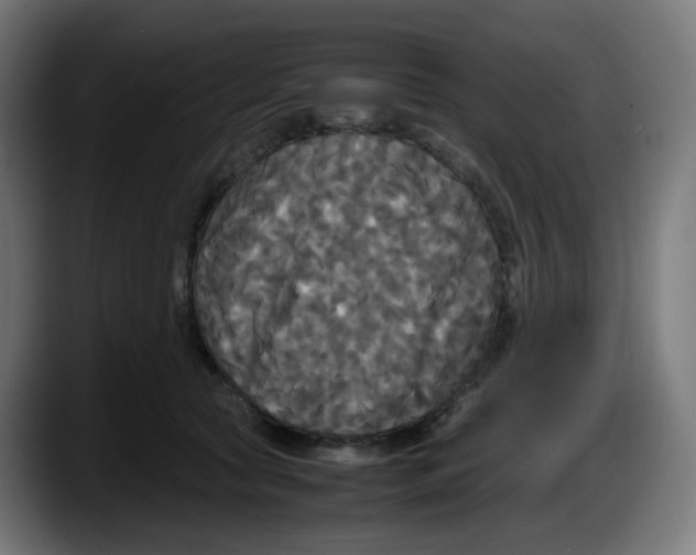 X0000087540561200705251722