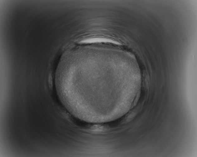 X0000087540562200705251722