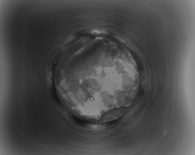 X0000087540563200705251722