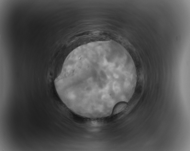 X0000087540565200705251722