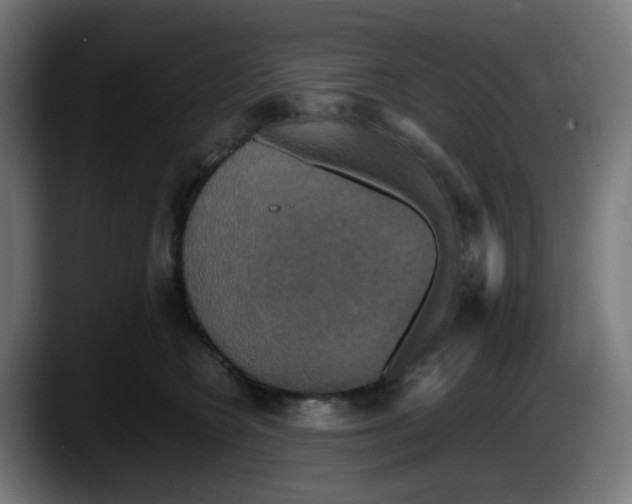 X0000087540566200705251722