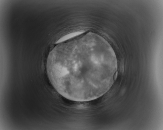 X0000087540569200705251722