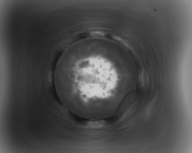 X0000087540571200705251722