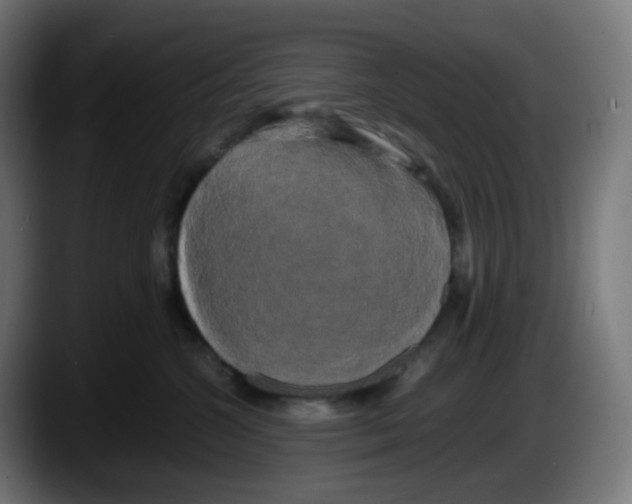 X0000087540572200705251722