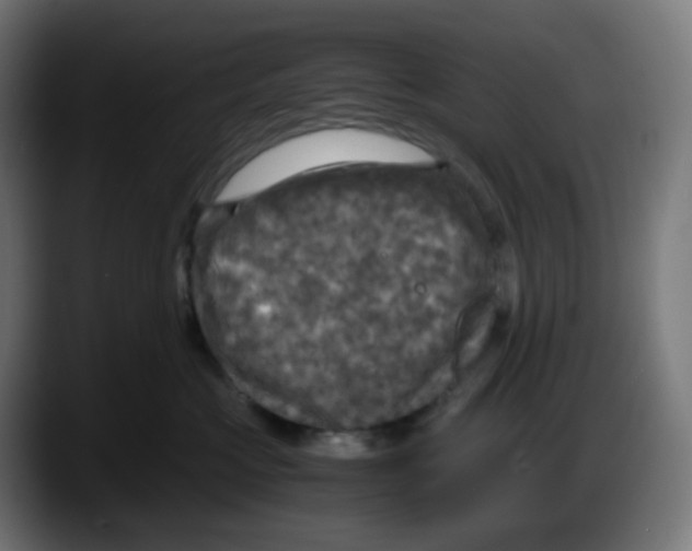 X0000087540573200705251722