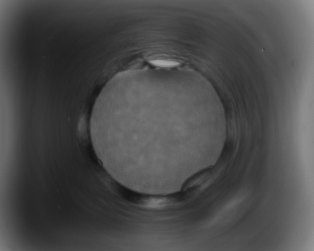 X0000087540575200705251722