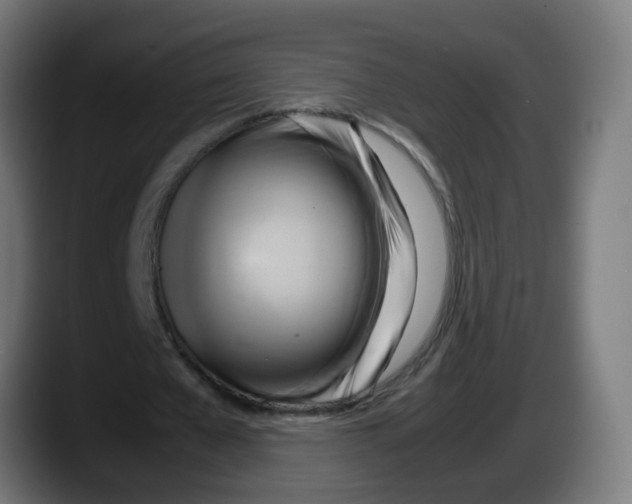 X0000087540577200705251722