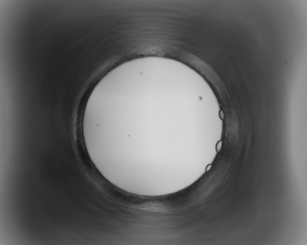 X0000087540578200705251722