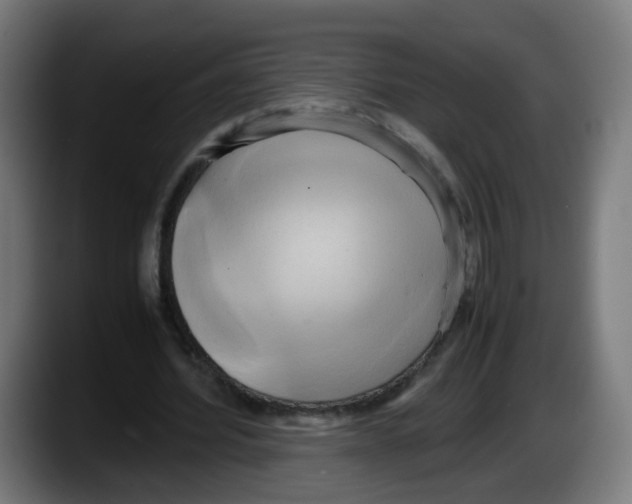 X0000087540580200705251722