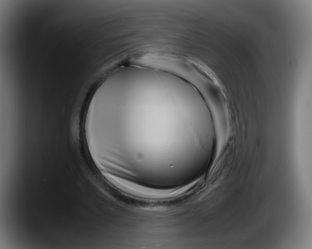 X0000087540581200705251722