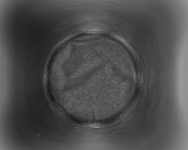 X0000087540583200705251722