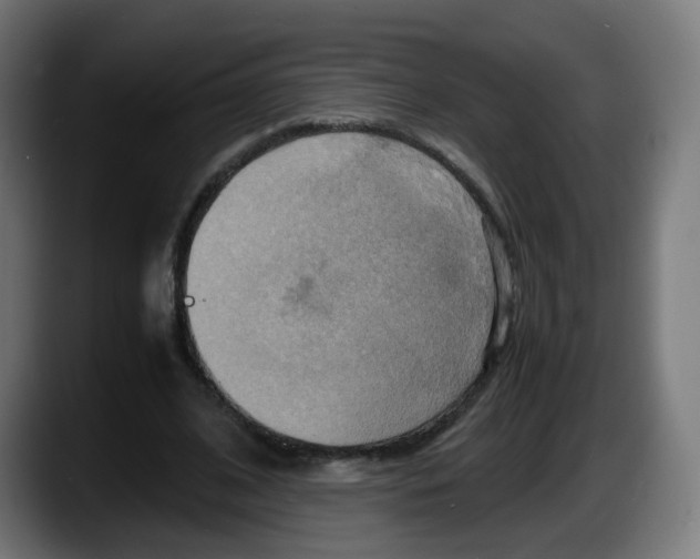 X0000087540584200705251722