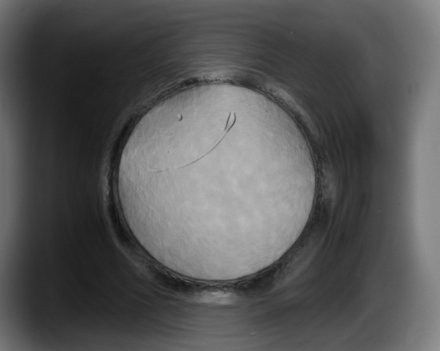 X0000087540586200705251722