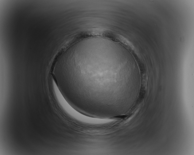 X0000087540589200705251722