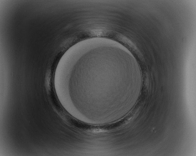 X0000087540590200705251722