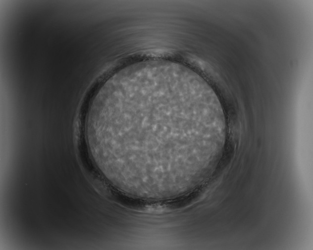 X0000087540591200705251722