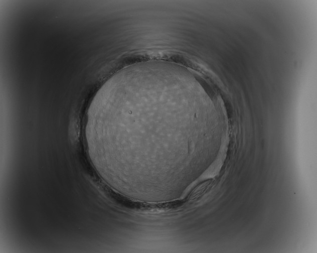 X0000087540593200705251722