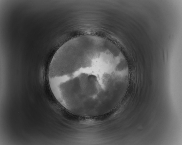 X0000087540594200705251721