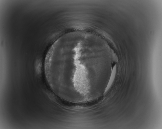 X0000087540596200705251721