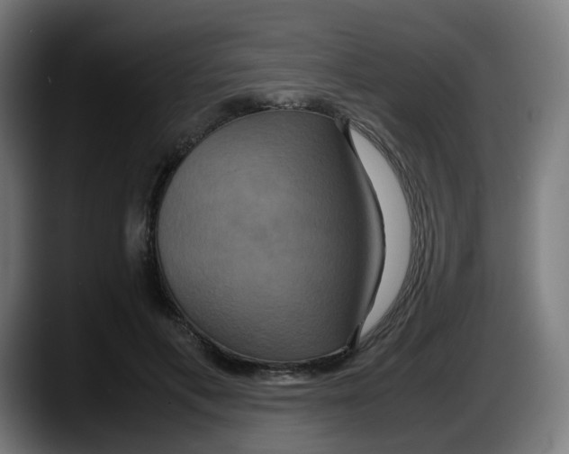 X0000087540597200705251721