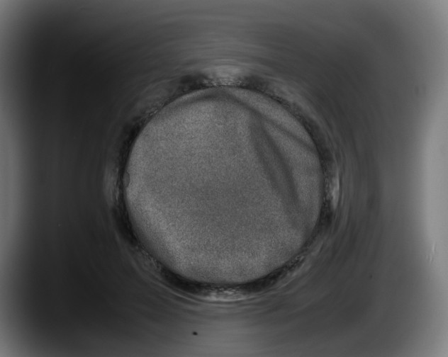 X0000087540599200705251721