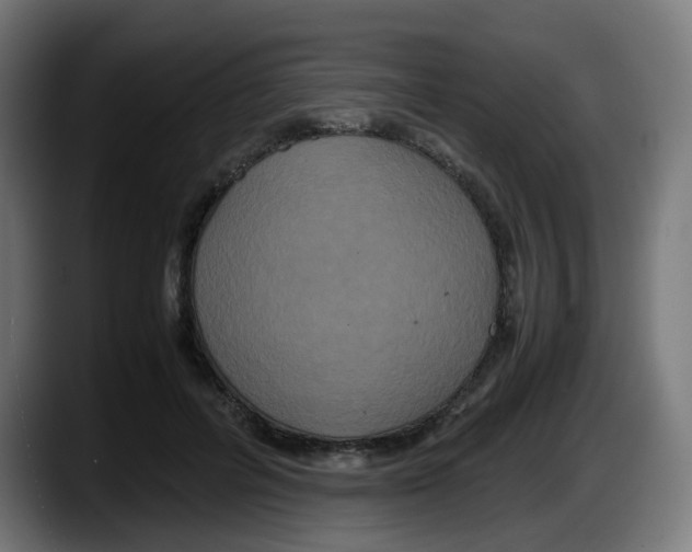 X0000087540600200705251721