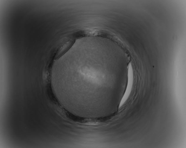 X0000087540601200705251721