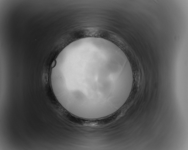 X0000087540602200705251721