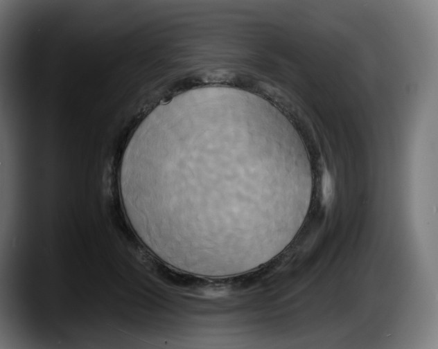 X0000087540604200705251721