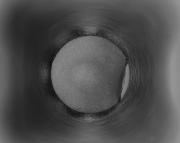 X0000087540608200705251721