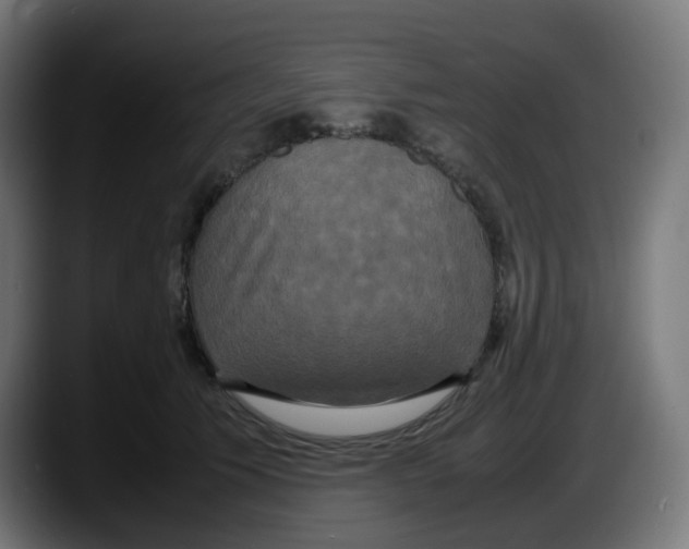 X0000087540609200705251721