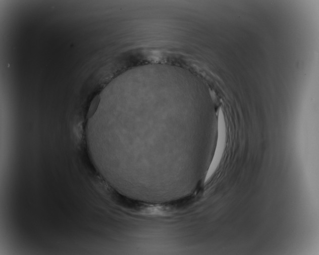 X0000087540611200705251721