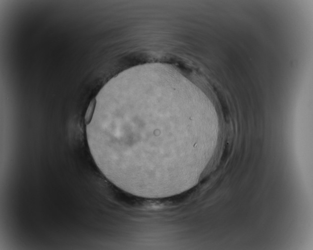 X0000087540613200705251721