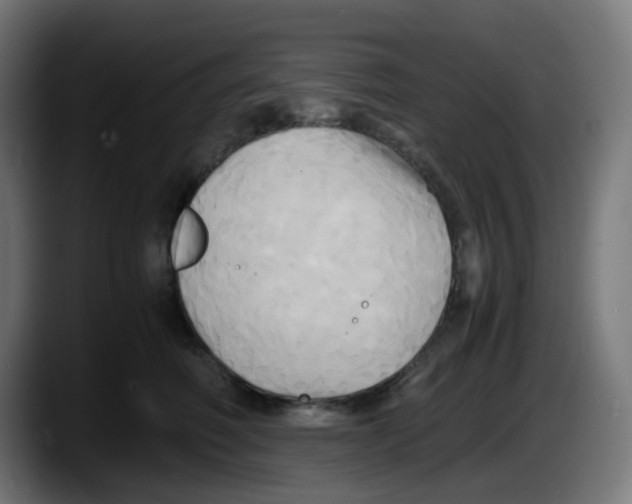 X0000087540614200705251721