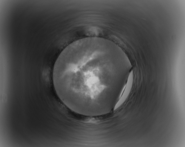 X0000087540616200705251721