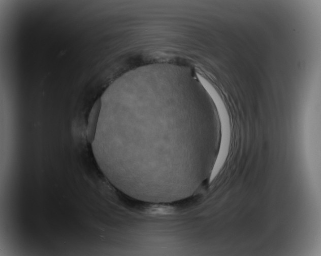 X0000087540617200705251721