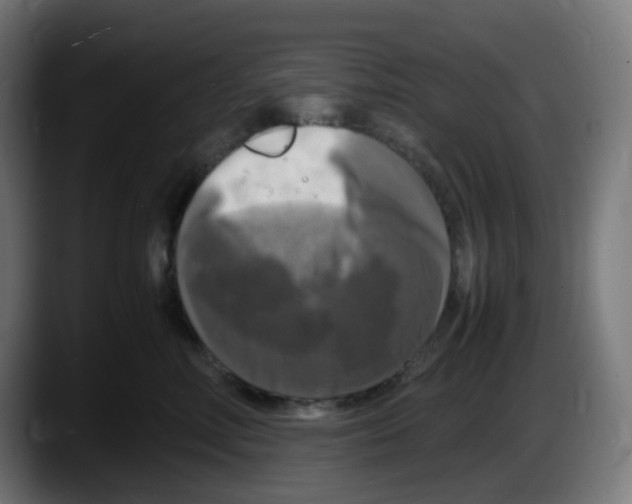 X0000087540618200705251721