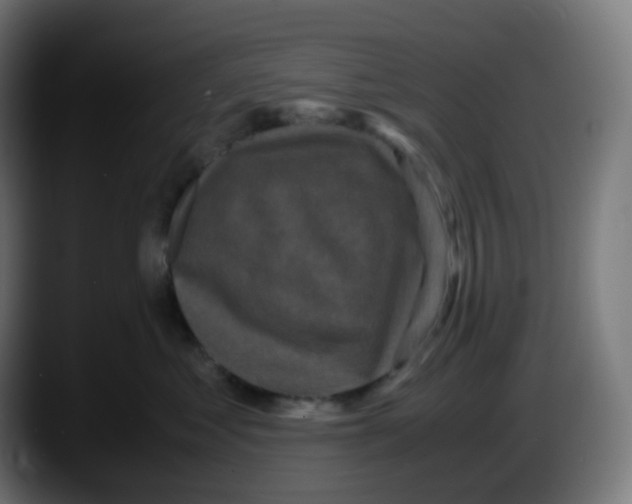 X0000087540621200705251721