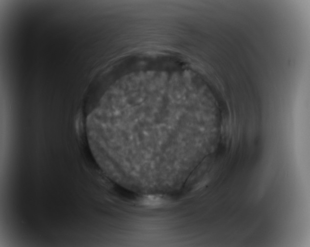 X0000087540623200705251721