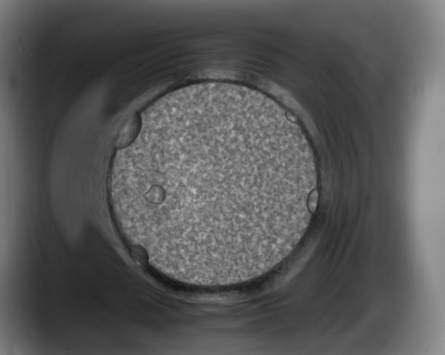 X0000087540625200705251720